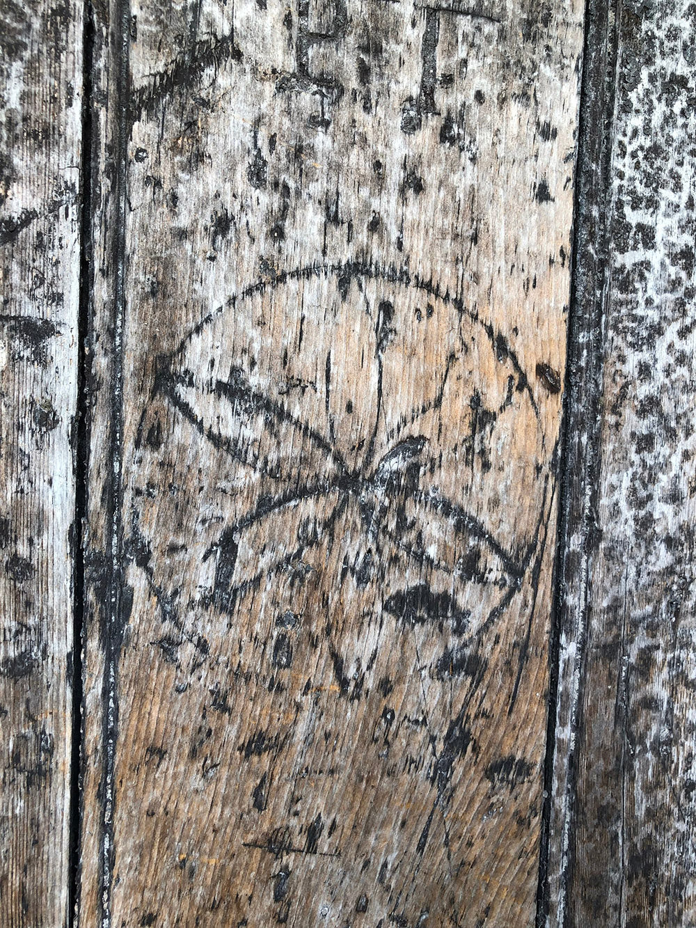 Historic daisy-wheel witch mark carved into an old oak door